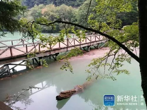 九寨沟地震与景区临时关闭情况汇总