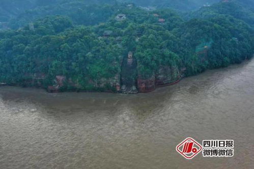 好消息 青城山、都江堰、峨眉山等景区恢复开放，乐山大佛本周内迎客